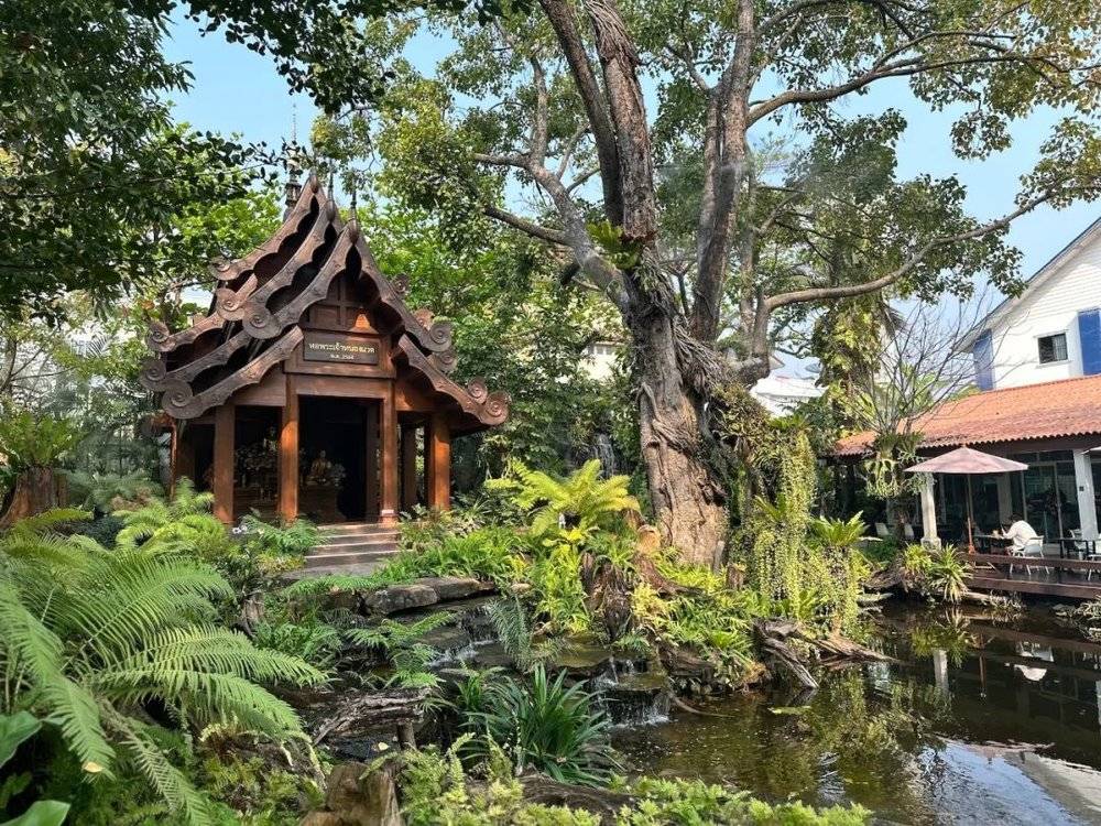 投注:這座東南亞小城,喝咖啡竟然比上海還卷